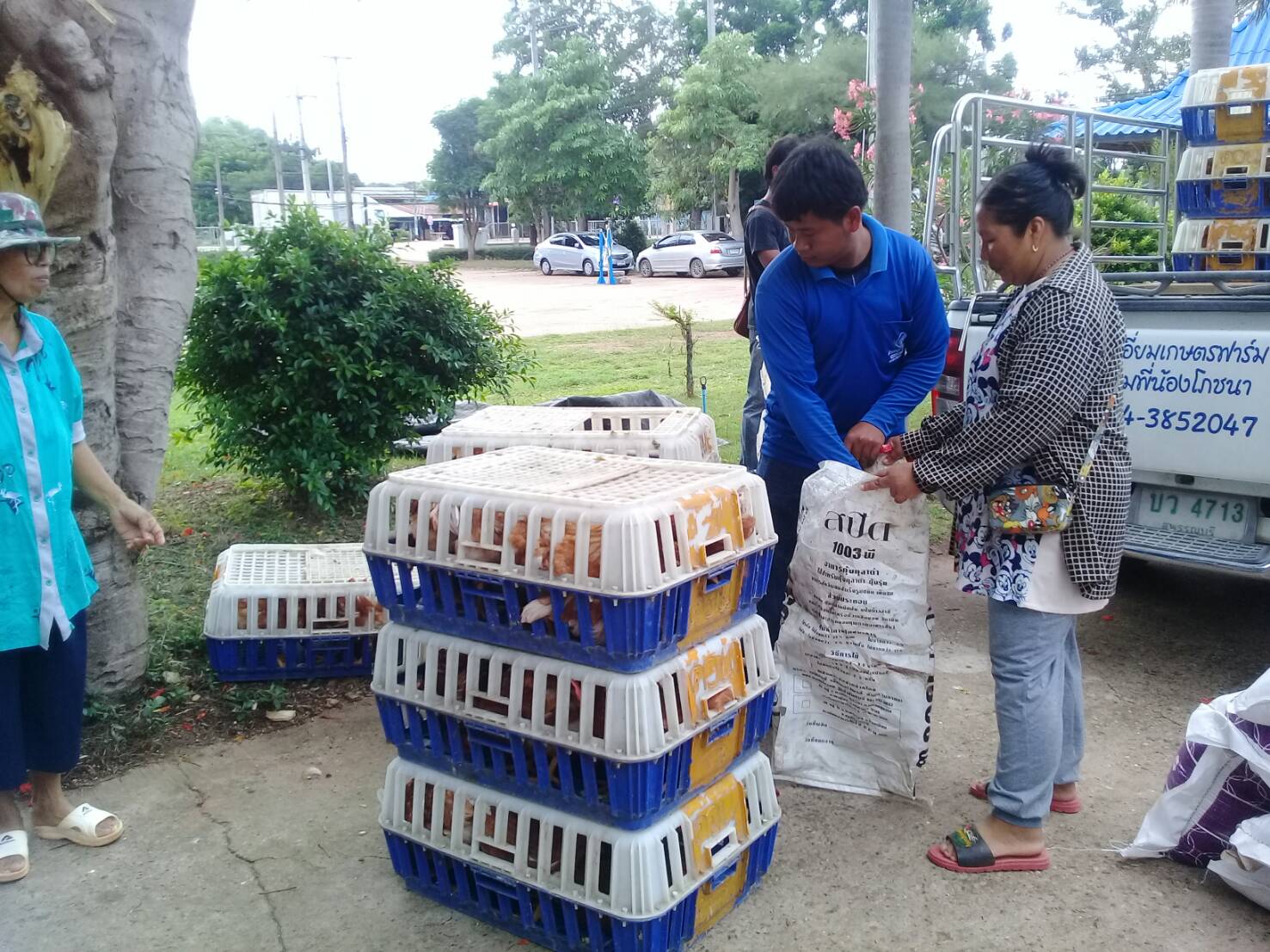 โครงการยกระดับรายได้ครัวเรือนตกเกณฑ์ จปฐ. ปี 2560(482 ครัวเรือน): งบประมาณตามแผนพัฒนาจังหวัดปราจีนบุรี ประจำปีงบประมาณ พ.ศ. 2562