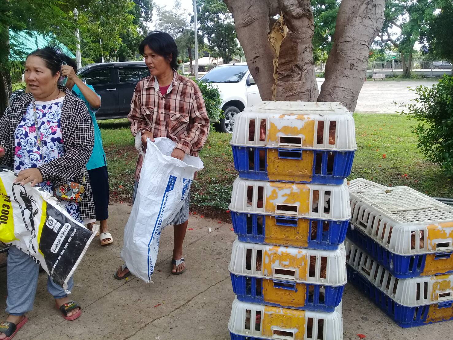 โครงการยกระดับรายได้ครัวเรือนตกเกณฑ์ จปฐ. ปี 2560(482 ครัวเรือน): งบประมาณตามแผนพัฒนาจังหวัดปราจีนบุรี ประจำปีงบประมาณ พ.ศ. 2562