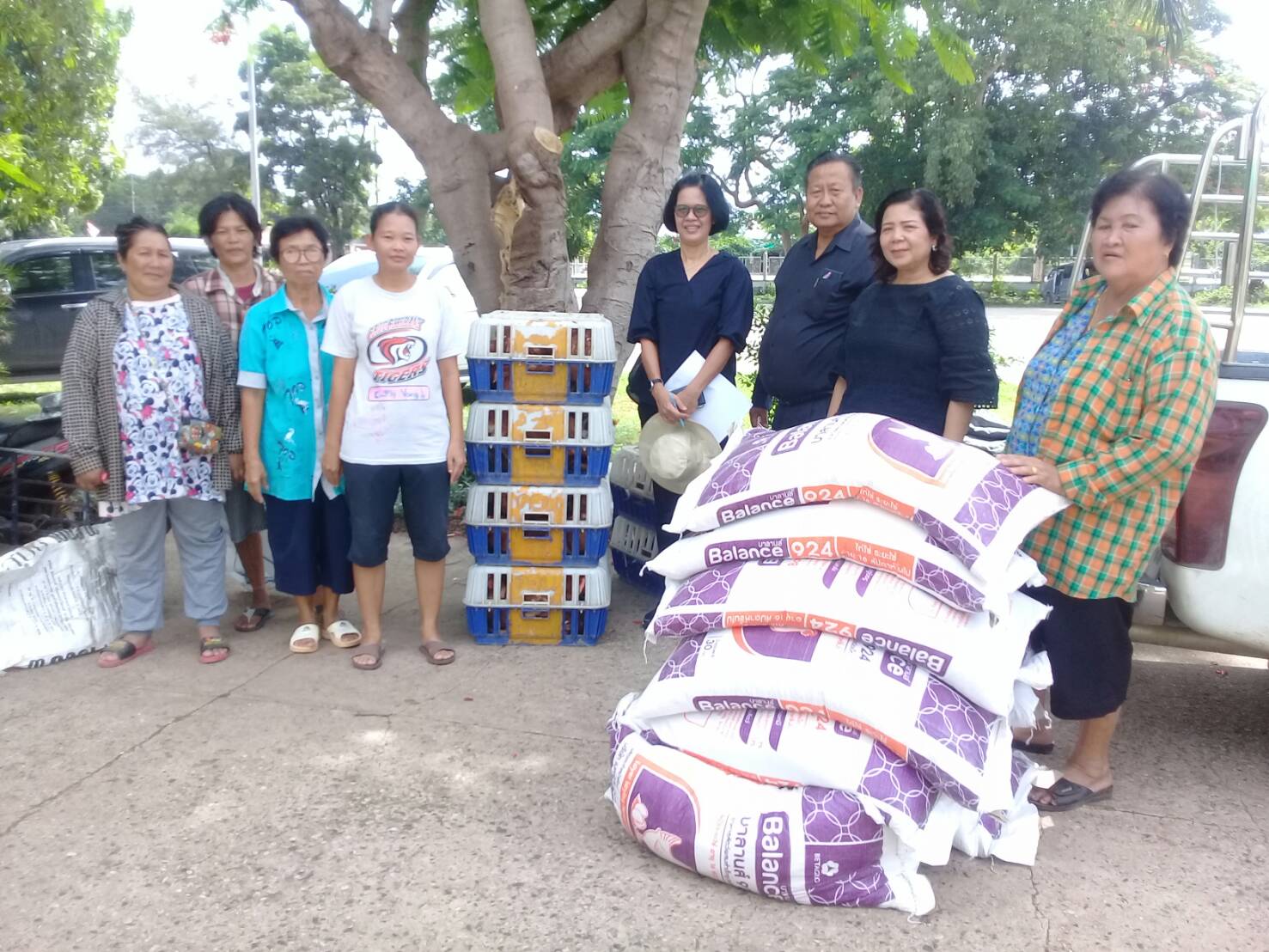 โครงการยกระดับรายได้ครัวเรือนตกเกณฑ์ จปฐ. ปี 2560(482 ครัวเรือน): งบประมาณตามแผนพัฒนาจังหวัดปราจีนบุรี ประจำปีงบประมาณ พ.ศ. 2562