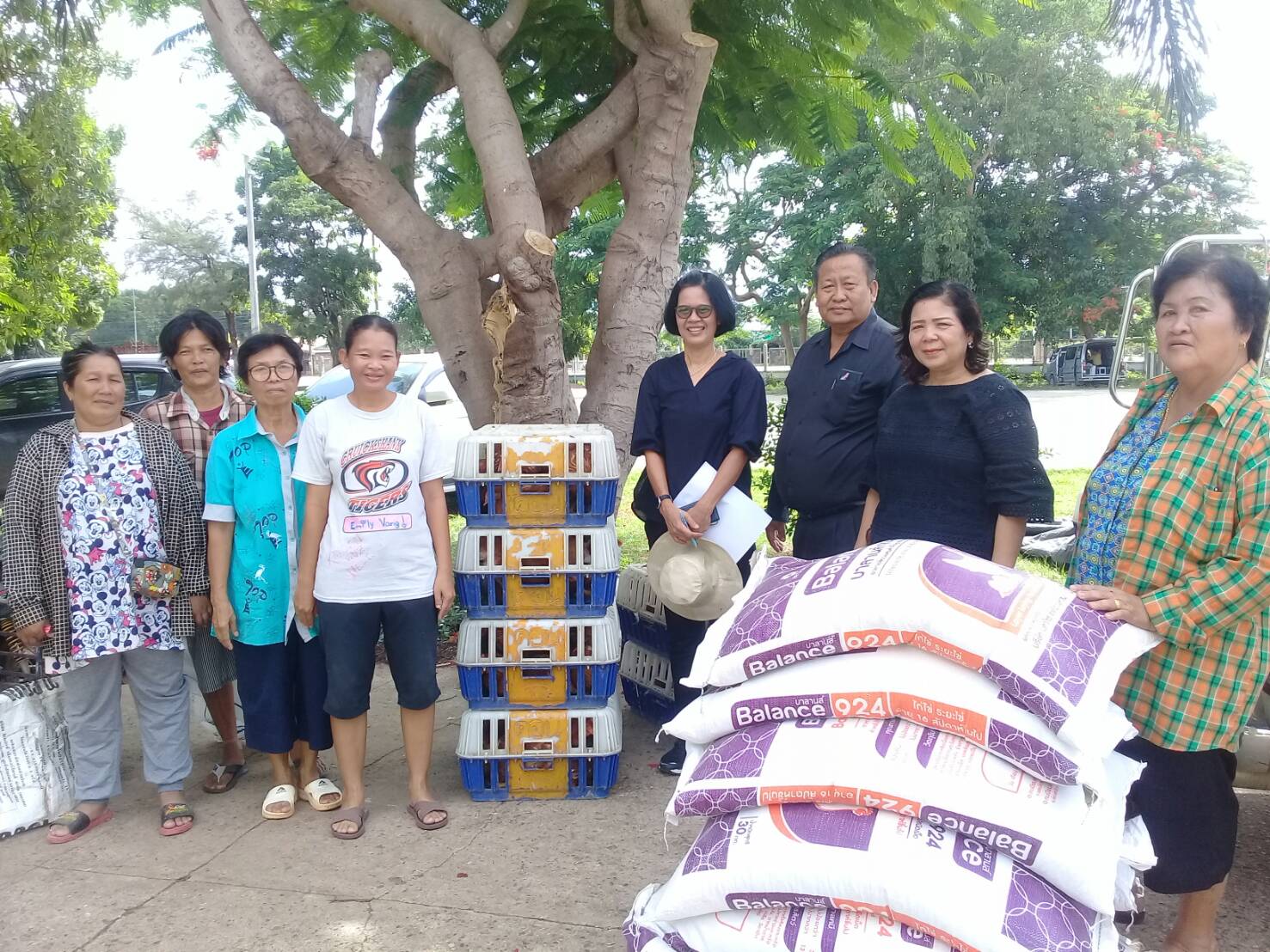โครงการยกระดับรายได้ครัวเรือนตกเกณฑ์ จปฐ. ปี 2560(482 ครัวเรือน): งบประมาณตามแผนพัฒนาจังหวัดปราจีนบุรี ประจำปีงบประมาณ พ.ศ. 2562