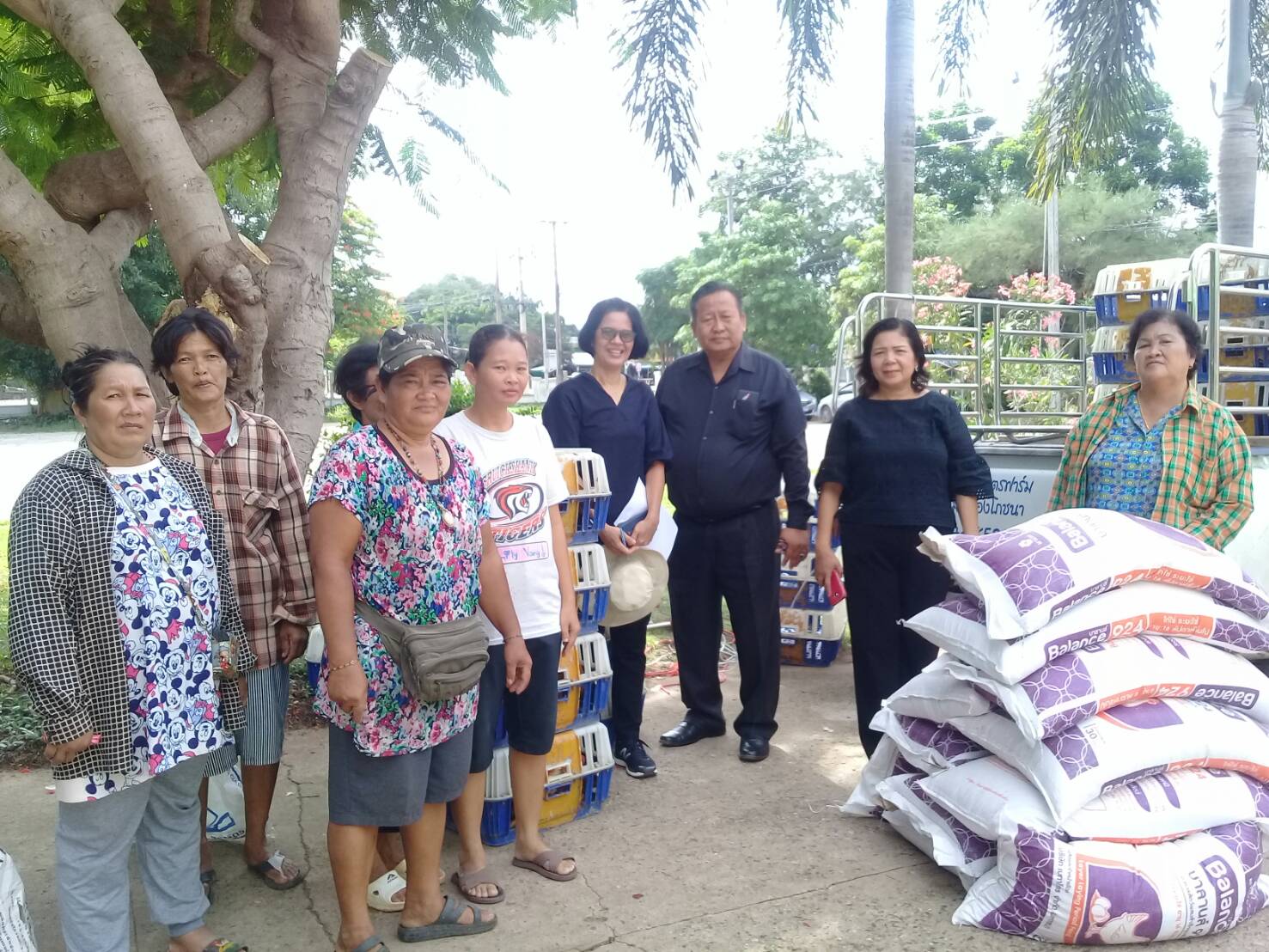 โครงการยกระดับรายได้ครัวเรือนตกเกณฑ์ จปฐ. ปี 2560(482 ครัวเรือน): งบประมาณตามแผนพัฒนาจังหวัดปราจีนบุรี ประจำปีงบประมาณ พ.ศ. 2562