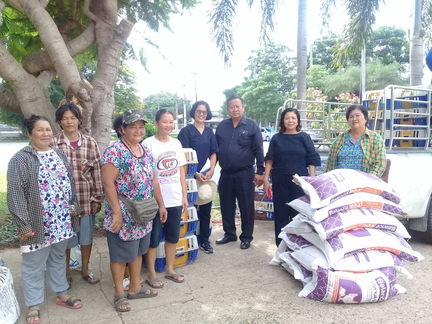 โครงการยกระดับรายได้ครัวเรือนตกเกณฑ์ จปฐ. ปี 2560(482 ครัวเรือน): งบประมาณตามแผนพัฒนาจังหวัดปราจีนบุรี ประจำปีงบประมาณ พ.ศ. 2562