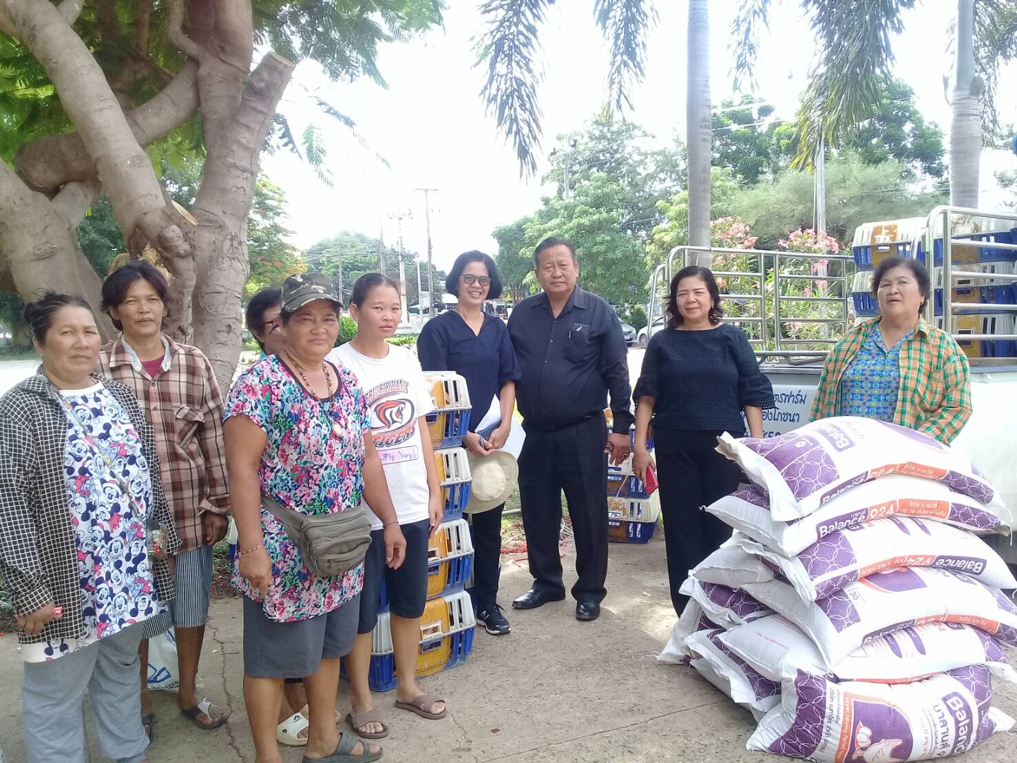 โครงการยกระดับรายได้ครัวเรือนตกเกณฑ์ จปฐ. ปี 2560(482 ครัวเรือน): งบประมาณตามแผนพัฒนาจังหวัดปราจีนบุรี ประจำปีงบประมาณ พ.ศ. 2562