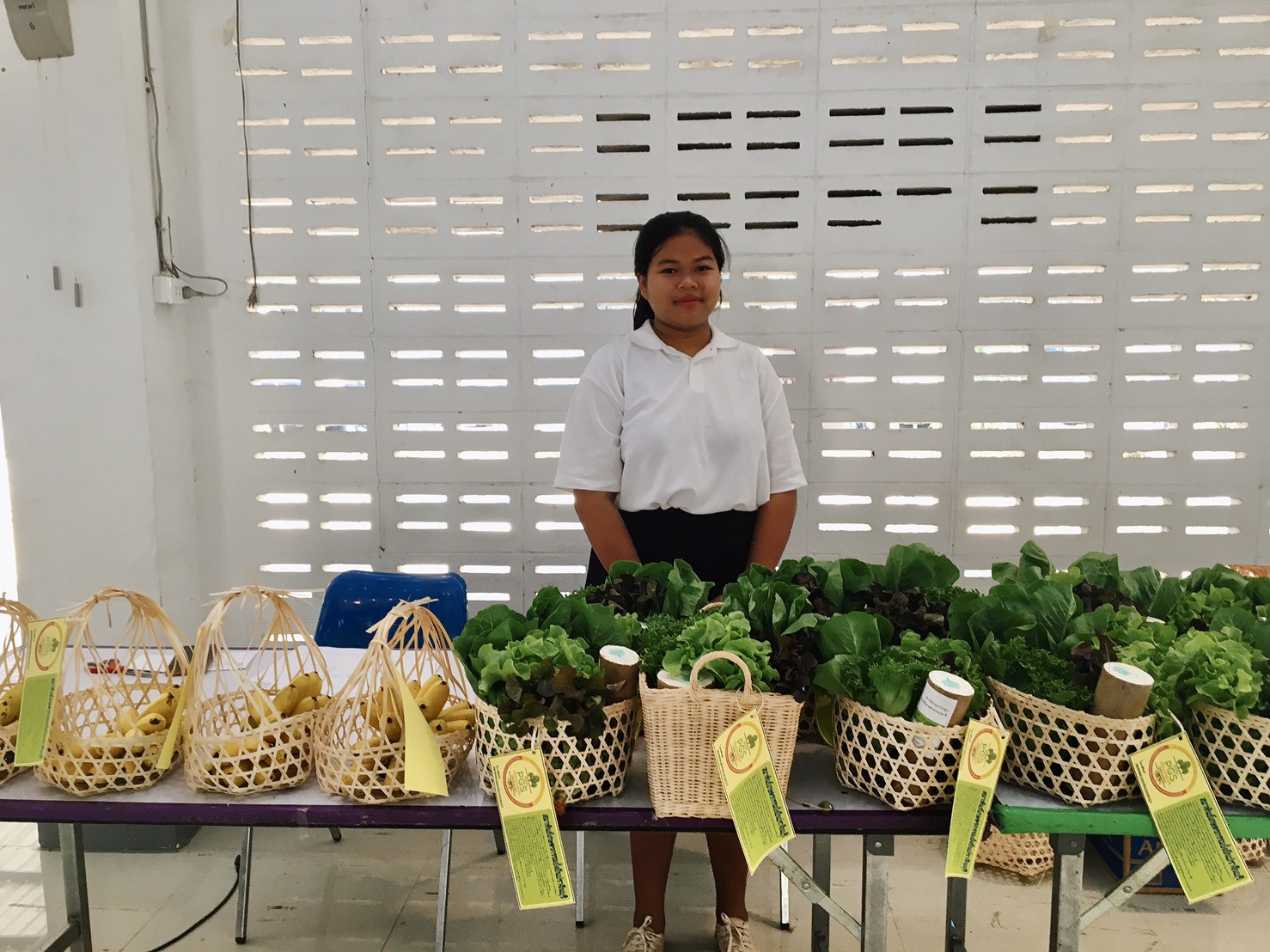 โครงการขับเคลื่อนมาตรฐานเกษตรอินทรีย์ แบบมีส่วนร่วม SDGs PGS สู่การพัฒนาเกษตรกรรมอย่างยั่งยืน ตามหลักปรัชญาของเศรษฐกิจพอเพียง