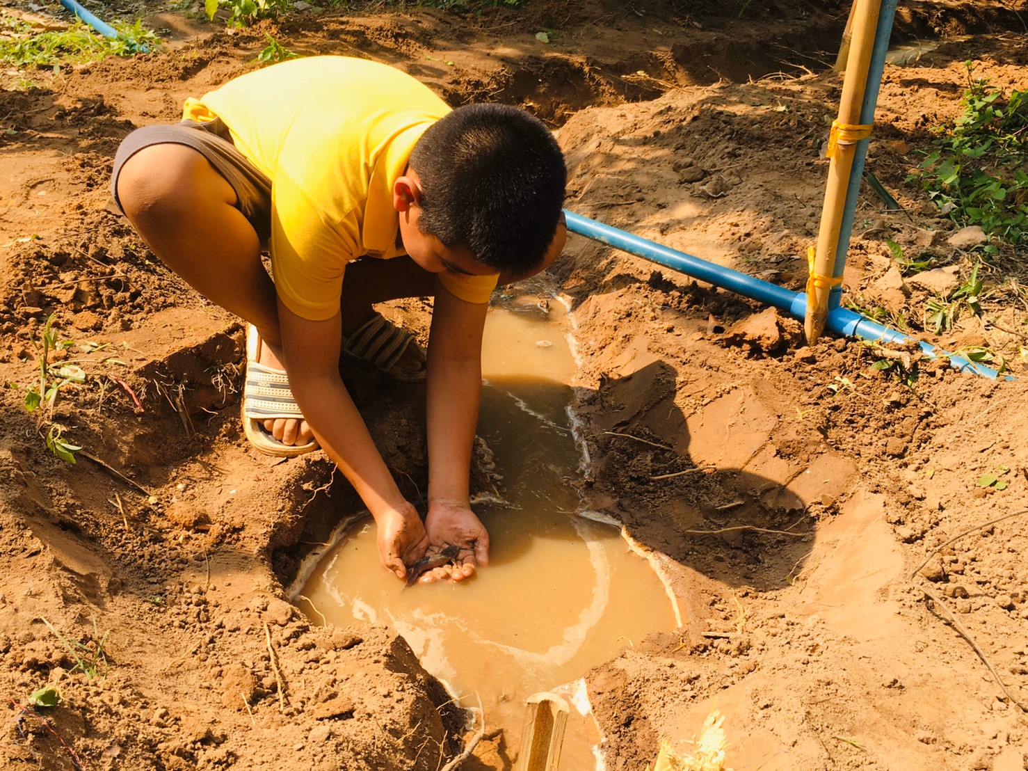 โครงการ “เอามื้อสามัคคี สวนสัมมาชีพรวมใจ”