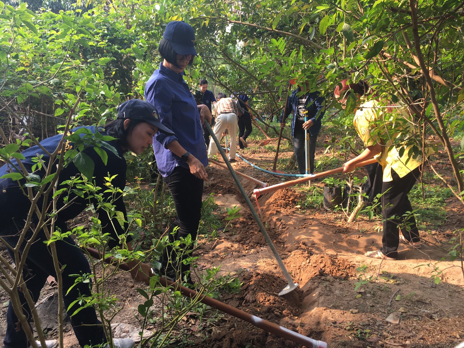 โครงการ “เอามื้อสามัคคี สวนสัมมาชีพรวมใจ”