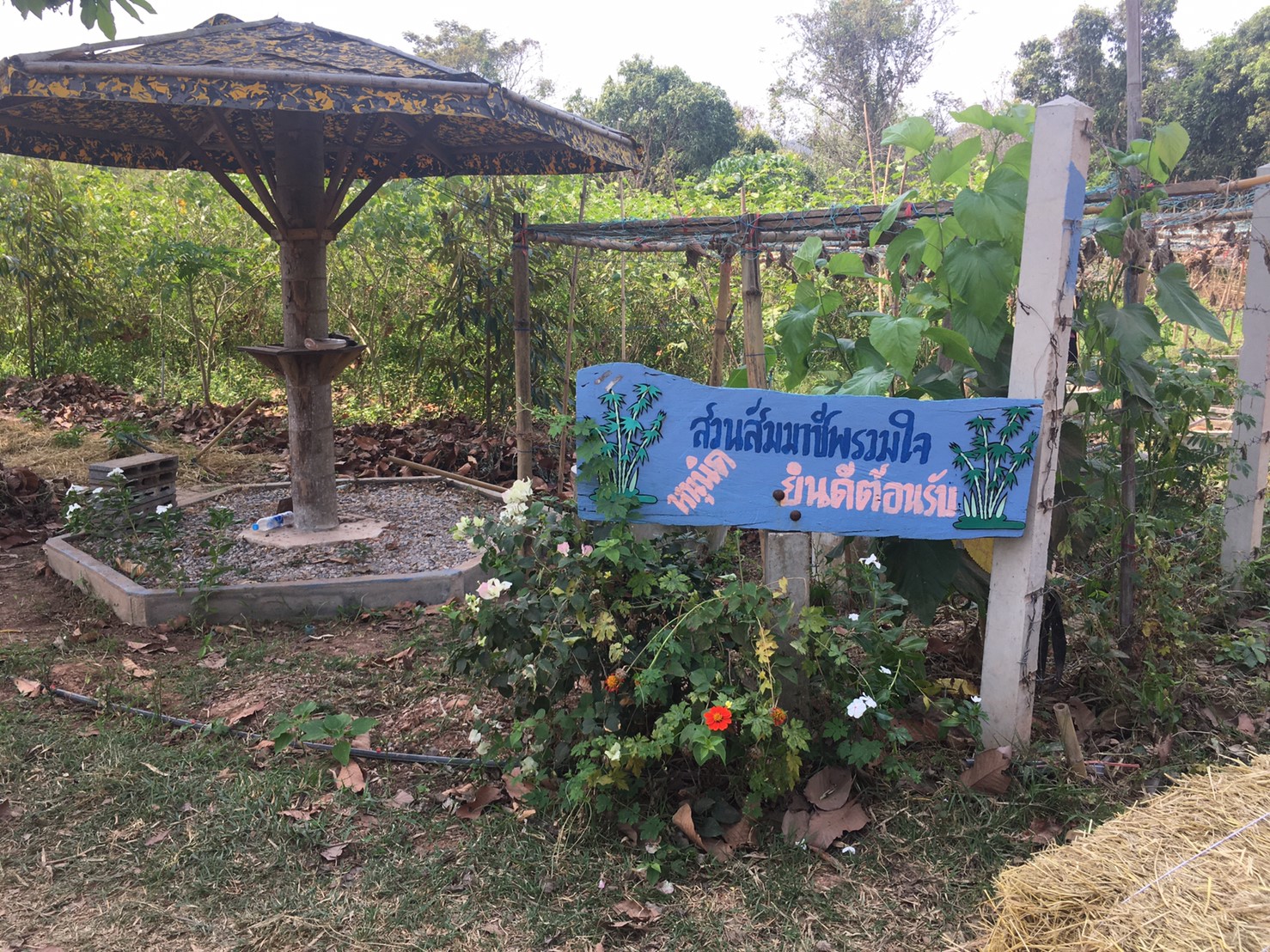 โครงการ “เอามื้อสามัคคี สวนสัมมาชีพรวมใจ”