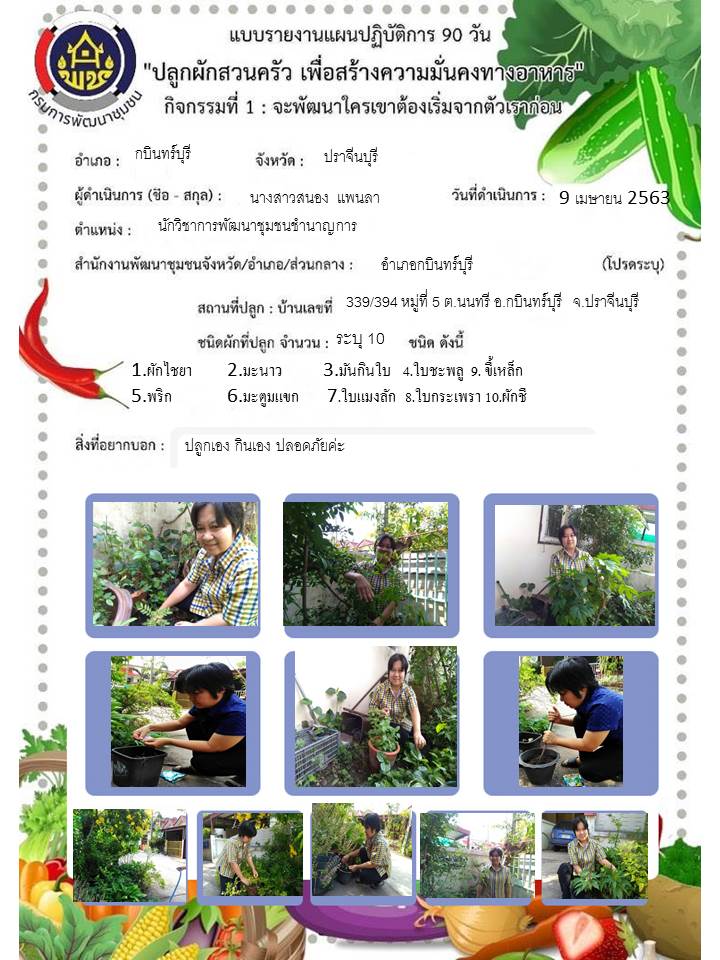 แผนปฏิบัติการ Quick Win 90 วัน “ปลูกผักสวนครัว เพื่อสร้างความมั่นคงทางอาหาร”