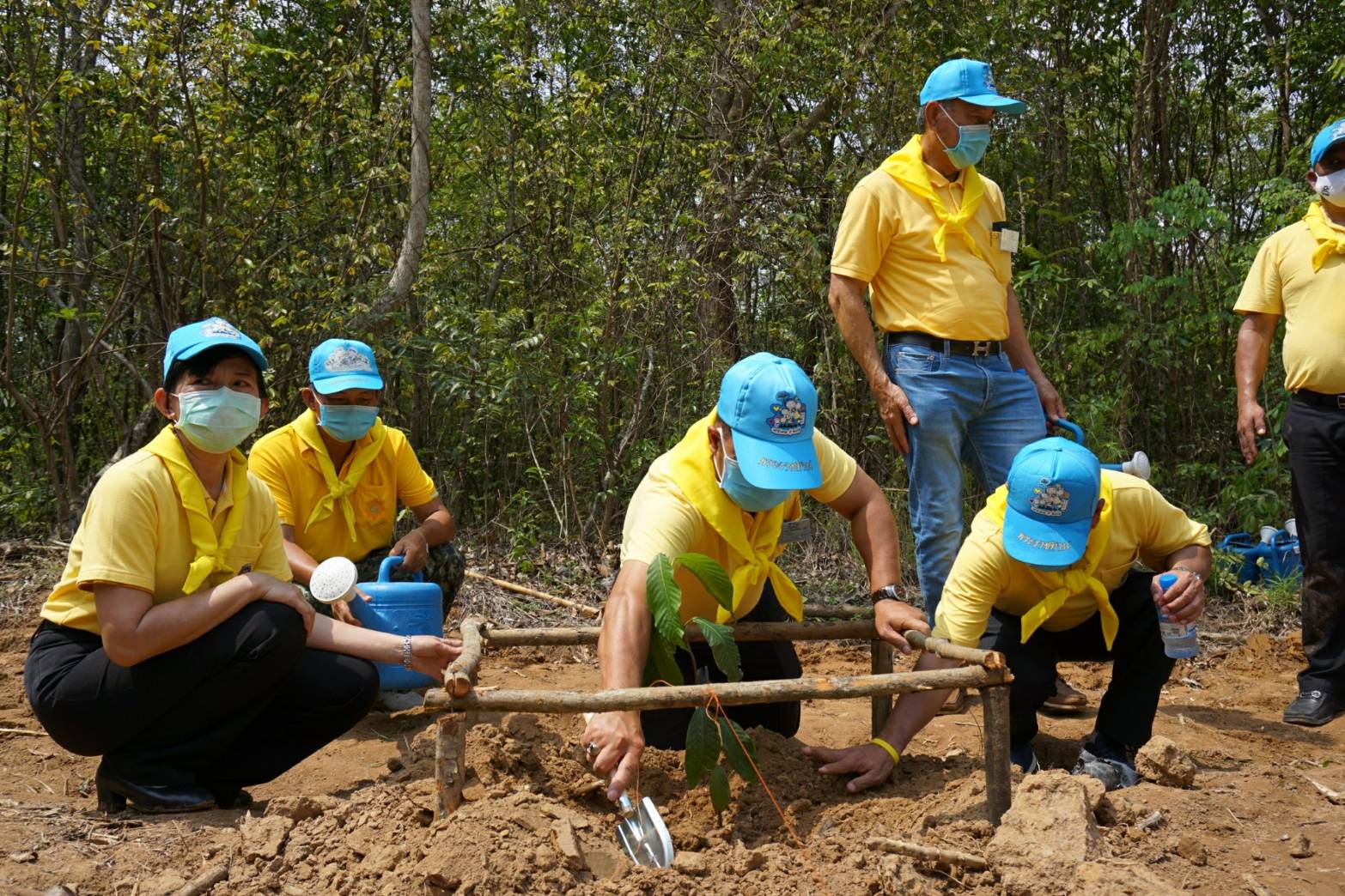 โครงการปลูกป่าเฉลิมพระเกียรติ เนื่องในโอกาสมหามงคลพระราชพิธีบรมราชาภิเษก ครบรอบ 1 ปี ของพระบาทสมเด็จพระปรเมนทรรามาธิบดีศรีสินทรมหาวชิราลงกรณ พระวชิรเกล้าเจ้าอยู่หัว