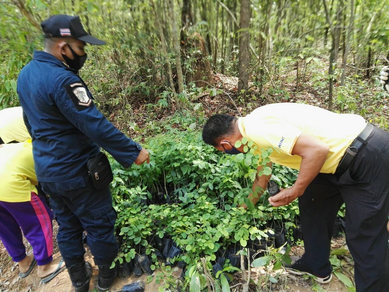 โครงการปลูกป่าเฉลิมพระเกียรติ เนื่องในโอกาสมหามงคลพระราชพิธีบรมราชาภิเษก ครบรอบ 1 ปี ของพระบาทสมเด็จพระปรเมนทรรามาธิบดีศรีสินทรมหาวชิราลงกรณ พระวชิรเกล้าเจ้าอยู่หัว