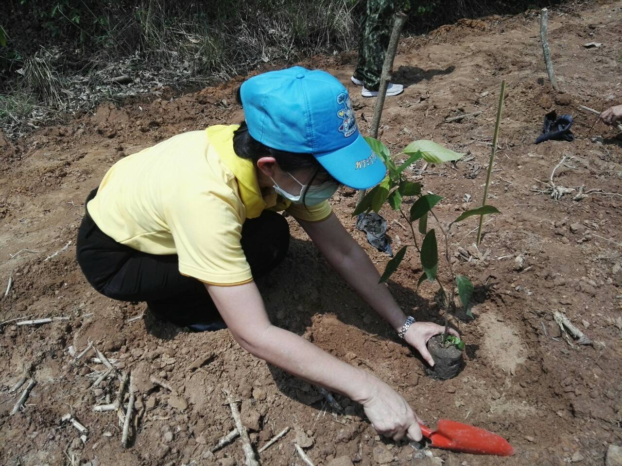 โครงการปลูกป่าเฉลิมพระเกียรติ เนื่องในโอกาสมหามงคลพระราชพิธีบรมราชาภิเษก ครบรอบ 1 ปี ของพระบาทสมเด็จพระปรเมนทรรามาธิบดีศรีสินทรมหาวชิราลงกรณ พระวชิรเกล้าเจ้าอยู่หัว
