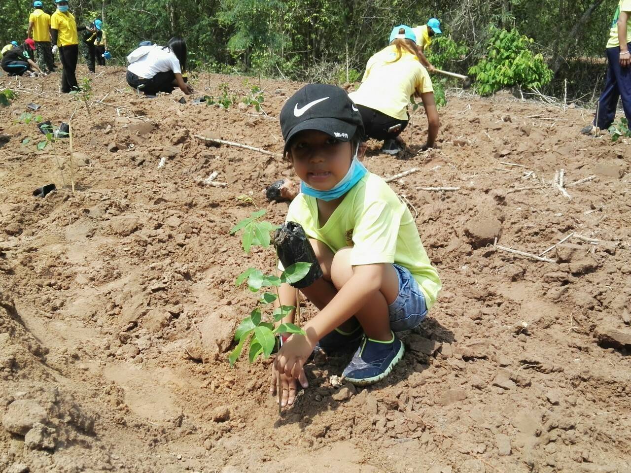 โครงการปลูกป่าเฉลิมพระเกียรติ เนื่องในโอกาสมหามงคลพระราชพิธีบรมราชาภิเษก ครบรอบ 1 ปี ของพระบาทสมเด็จพระปรเมนทรรามาธิบดีศรีสินทรมหาวชิราลงกรณ พระวชิรเกล้าเจ้าอยู่หัว