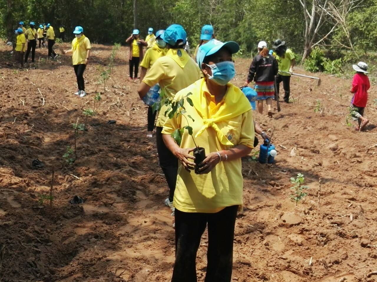 โครงการปลูกป่าเฉลิมพระเกียรติ เนื่องในโอกาสมหามงคลพระราชพิธีบรมราชาภิเษก ครบรอบ 1 ปี ของพระบาทสมเด็จพระปรเมนทรรามาธิบดีศรีสินทรมหาวชิราลงกรณ พระวชิรเกล้าเจ้าอยู่หัว