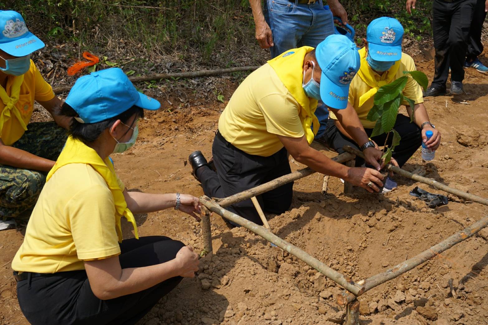 โครงการปลูกป่าเฉลิมพระเกียรติ เนื่องในโอกาสมหามงคลพระราชพิธีบรมราชาภิเษก ครบรอบ 1 ปี ของพระบาทสมเด็จพระปรเมนทรรามาธิบดีศรีสินทรมหาวชิราลงกรณ พระวชิรเกล้าเจ้าอยู่หัว
