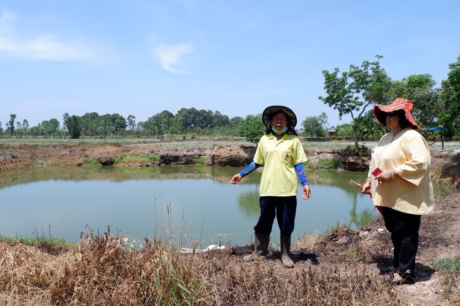 ติดตามการดำเนินงานโครงการตามแผนปฏิบัติการ 90 วัน “ปลูกพืชผักสวนครัว เพื่อสร้างความมั่นคงทางอาหาร” ของอำเภอศรีมโหสถ