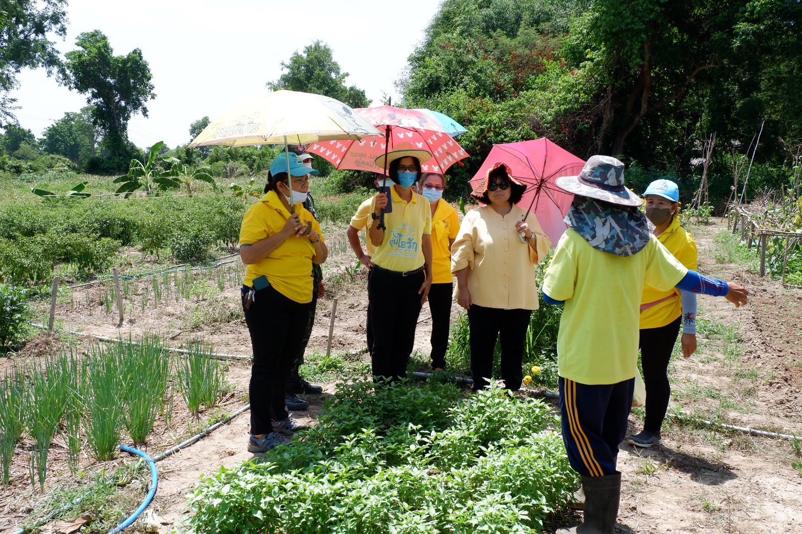 ติดตามการดำเนินงานโครงการตามแผนปฏิบัติการ 90 วัน “ปลูกพืชผักสวนครัว เพื่อสร้างความมั่นคงทางอาหาร” ของอำเภอศรีมโหสถ