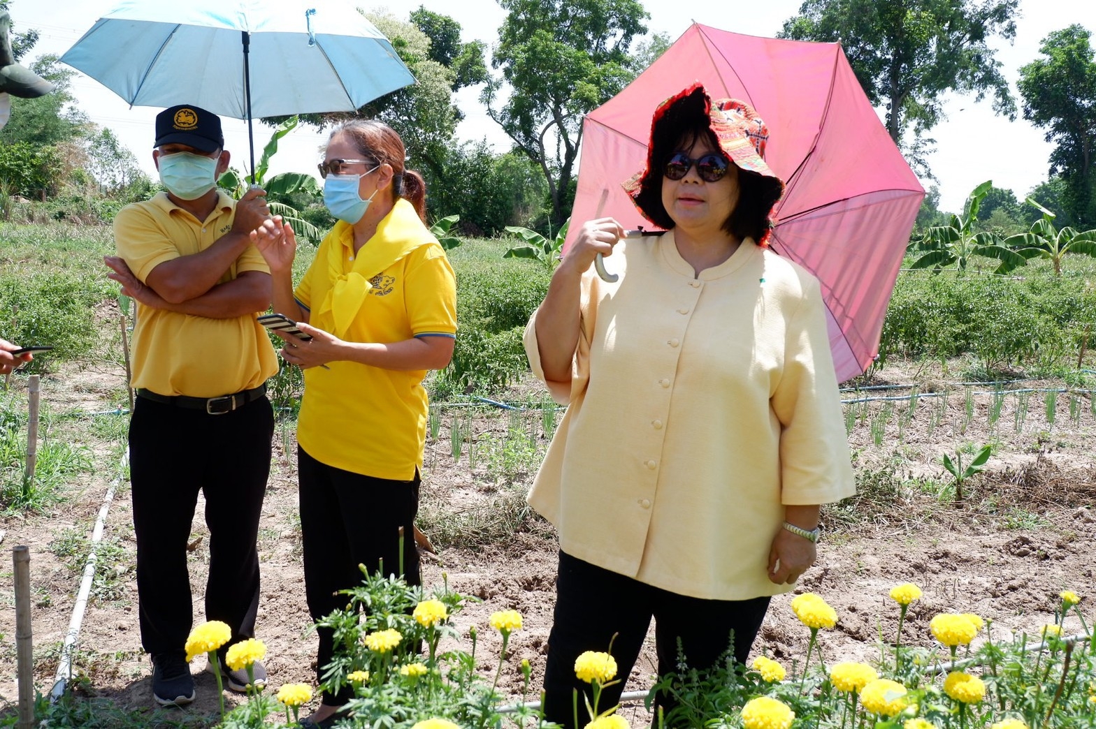 ติดตามการดำเนินงานโครงการตามแผนปฏิบัติการ 90 วัน “ปลูกพืชผักสวนครัว เพื่อสร้างความมั่นคงทางอาหาร” ของอำเภอศรีมโหสถ