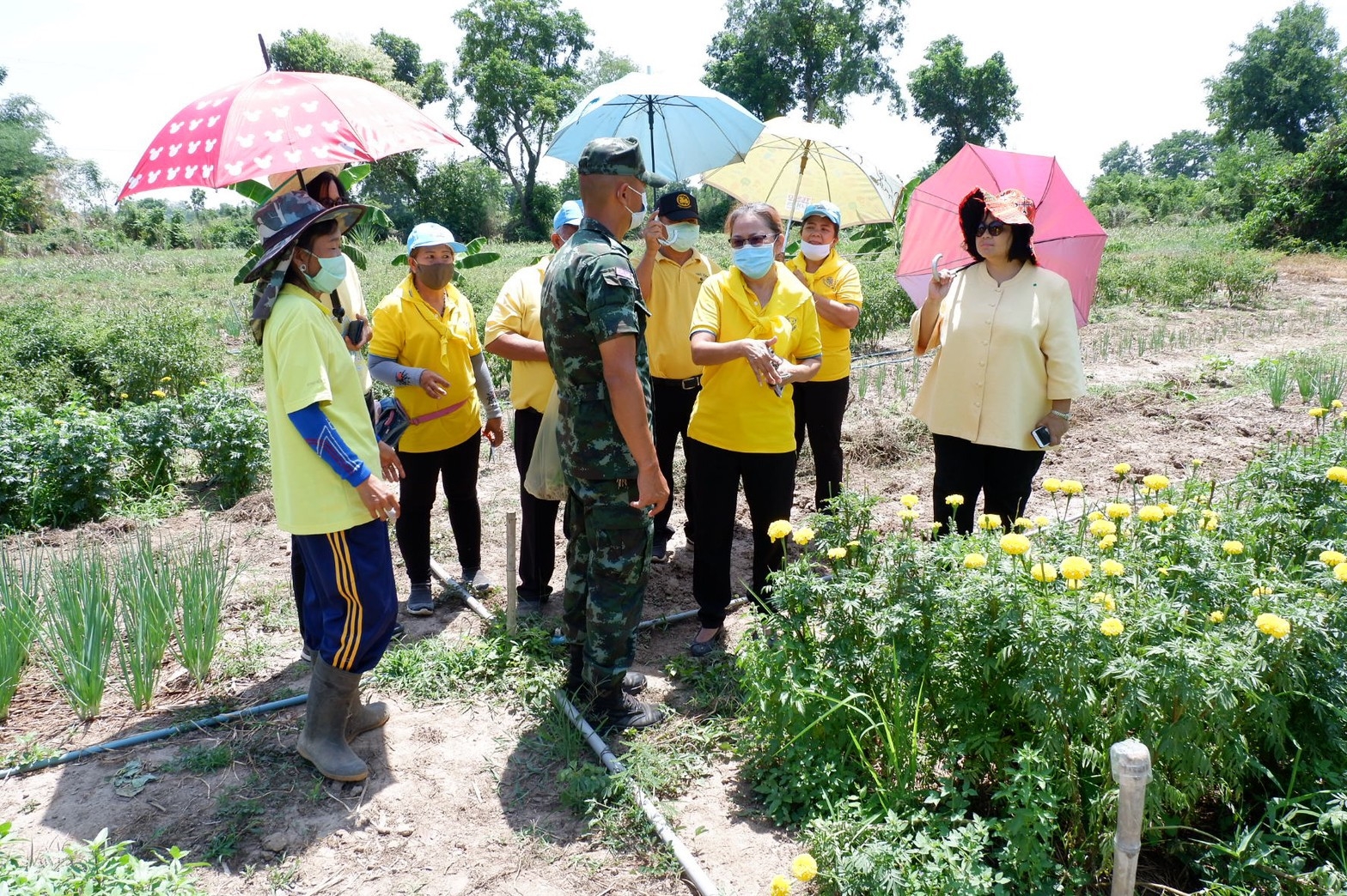 ติดตามการดำเนินงานโครงการตามแผนปฏิบัติการ 90 วัน “ปลูกพืชผักสวนครัว เพื่อสร้างความมั่นคงทางอาหาร” ของอำเภอศรีมโหสถ