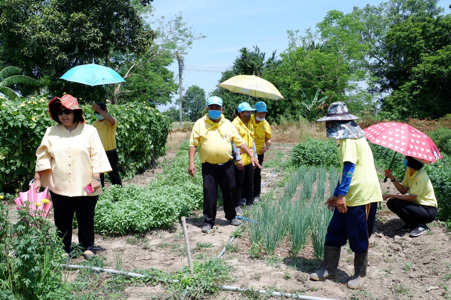 ติดตามการดำเนินงานโครงการตามแผนปฏิบัติการ 90 วัน “ปลูกพืชผักสวนครัว เพื่อสร้างความมั่นคงทางอาหาร” ของอำเภอศรีมโหสถ