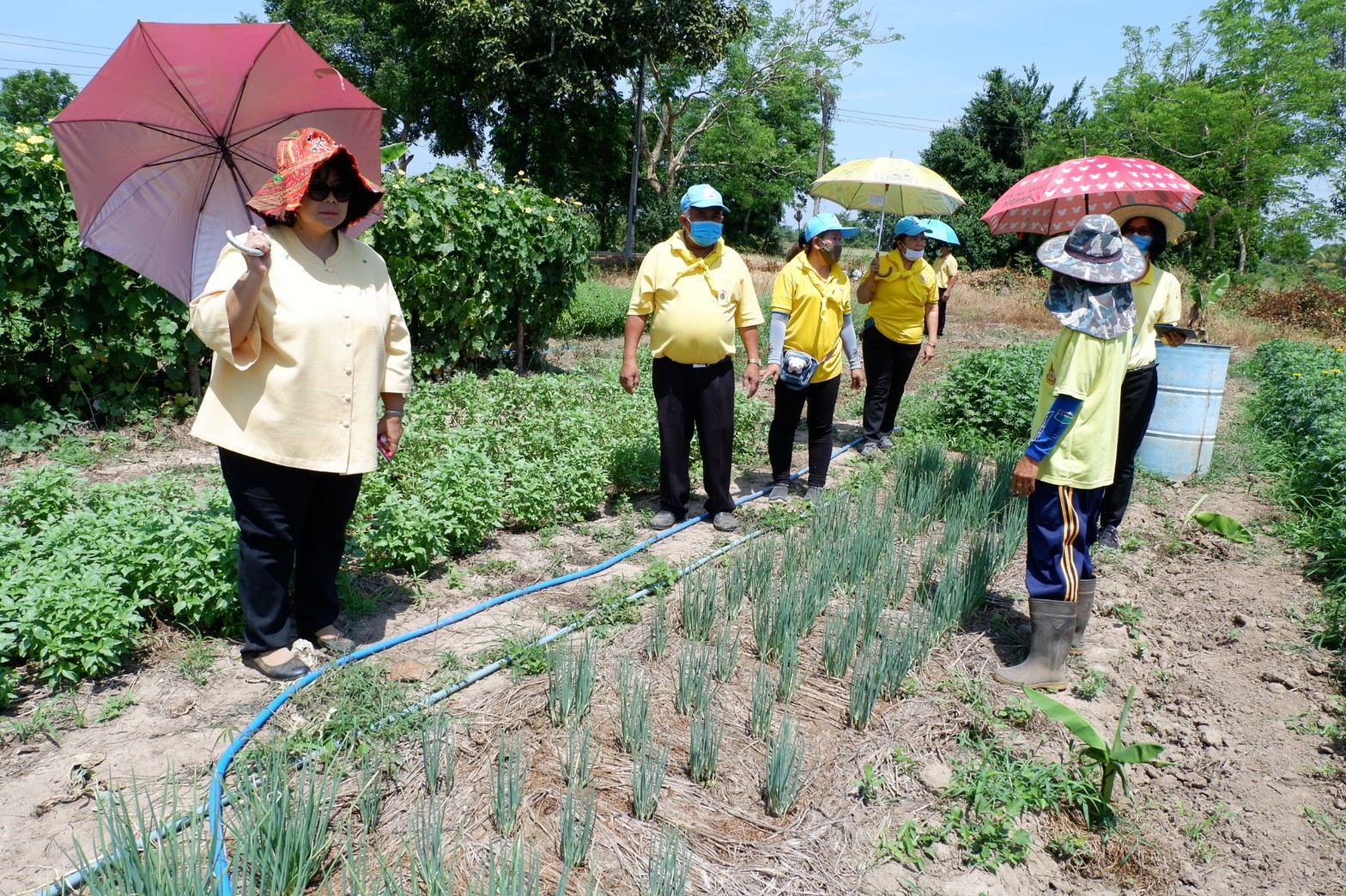 ติดตามการดำเนินงานโครงการตามแผนปฏิบัติการ 90 วัน “ปลูกพืชผักสวนครัว เพื่อสร้างความมั่นคงทางอาหาร” ของอำเภอศรีมโหสถ