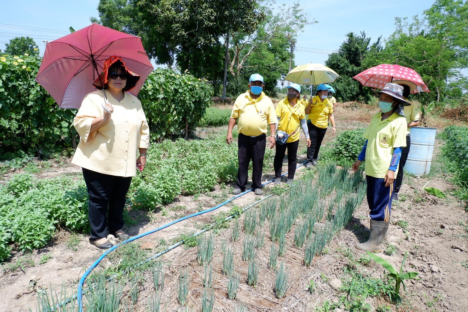 ติดตามการดำเนินงานโครงการตามแผนปฏิบัติการ 90 วัน “ปลูกพืชผักสวนครัว เพื่อสร้างความมั่นคงทางอาหาร” ของอำเภอศรีมโหสถ