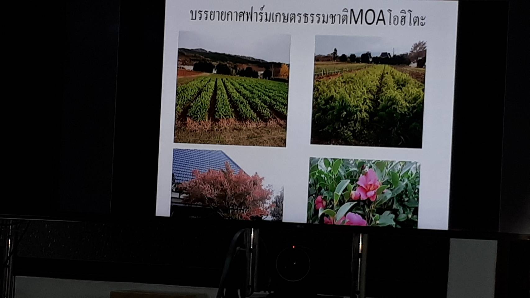 การประชุมผ่านระบบวีดิทัศน์ทางไกล ( Video Conference ) เรื่อง การขับเคลื่อนหลักทฤษฎีใหม่ของพระบาทสมเด็จพระเจ้าอยู่หัว รัชกาลที่ 9 ประยุกต์สู่ “โคก หนอง นา โมเดล” 30 ตารางวา