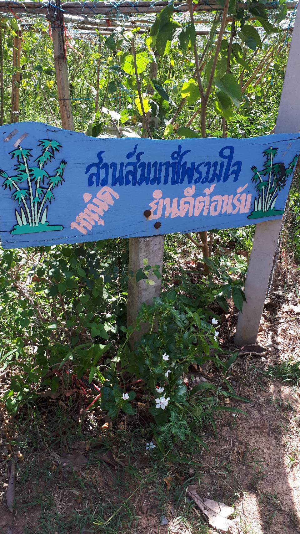 ติดตามการดำเนินงานโครงการพัฒนาหมู่บ้านเศรษฐกิจพอเพียง กิจกรรม โคก หนอง นา โมเดล