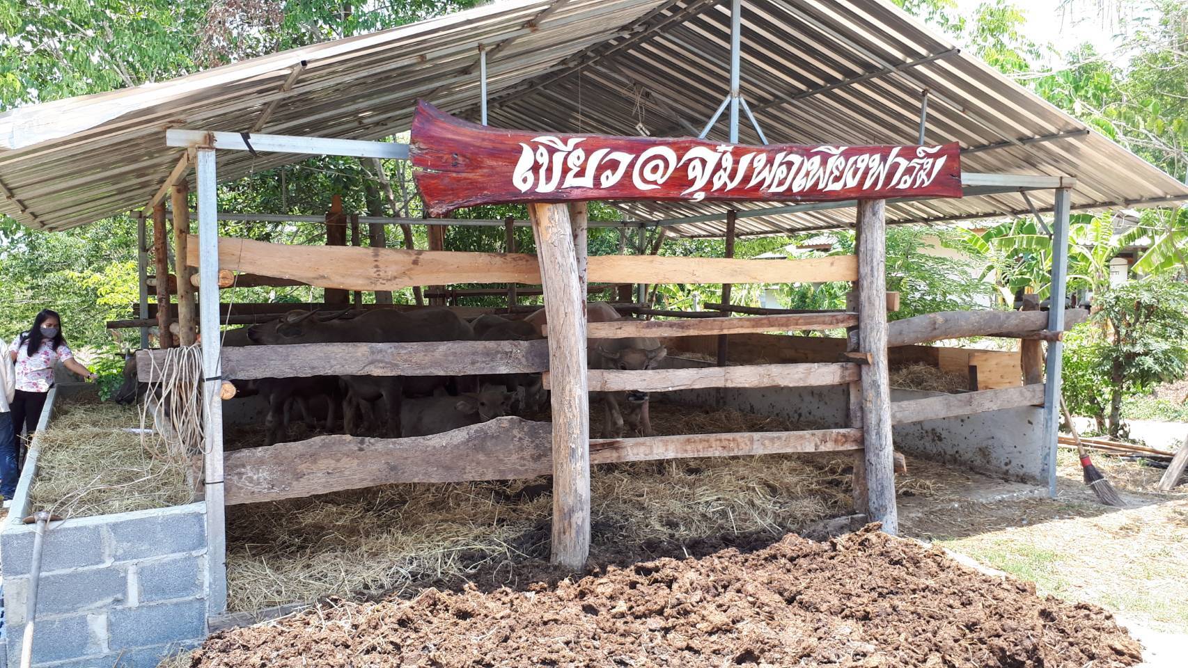 ติดตามการดำเนินงานโครงการพัฒนากสิกรรมสู่ระบบเศรษฐกิจพอเพียง : กิจกรรมเอามื้อสามัคคี โคก หนอง นา โมเดล หิ้วปิ่นโตไปเอามื้อสามัคคี ถือจอบเสียมไปพลิกฟิ้นแผ่นดิน