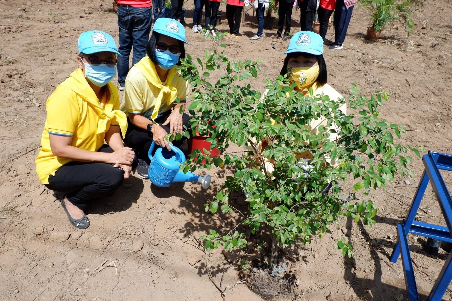 การดำเนินโครงการปลูกป่าเฉลิมพระเกียรติเนื่องในโอกาสมหามงคลพระราชพิธีบรมราชาภิเษก ครบรอบ 1 ปี เพื่อถวายเป็นพระราชกุศลพระบาทสมเด็จพระปรเมนทรรามาธิบดีศรีสินทรมหาวชิราลงกรณ พระวชิรเกล้าเจ้าอยู่หัว ปลูกไม้เพื่อแผ่นดิน สืบสานสู่ 100 ล้านต้น