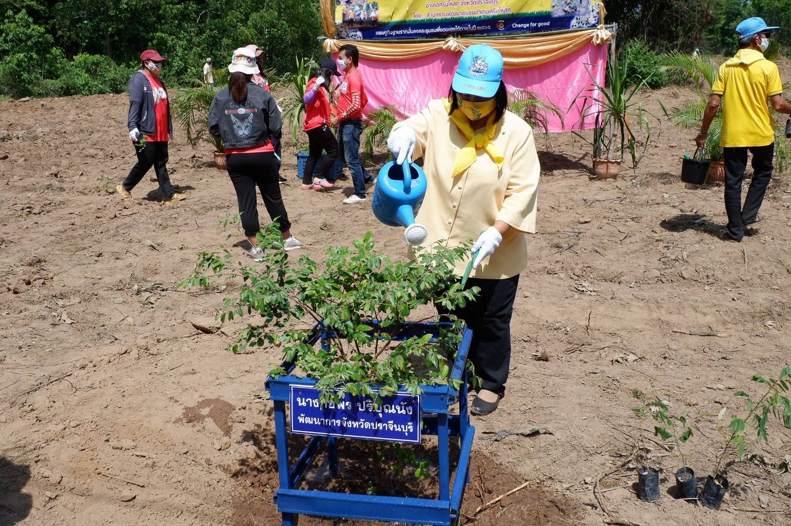 การดำเนินโครงการปลูกป่าเฉลิมพระเกียรติเนื่องในโอกาสมหามงคลพระราชพิธีบรมราชาภิเษก ครบรอบ 1 ปี เพื่อถวายเป็นพระราชกุศลพระบาทสมเด็จพระปรเมนทรรามาธิบดีศรีสินทรมหาวชิราลงกรณ พระวชิรเกล้าเจ้าอยู่หัว ปลูกไม้เพื่อแผ่นดิน สืบสานสู่ 100 ล้านต้น