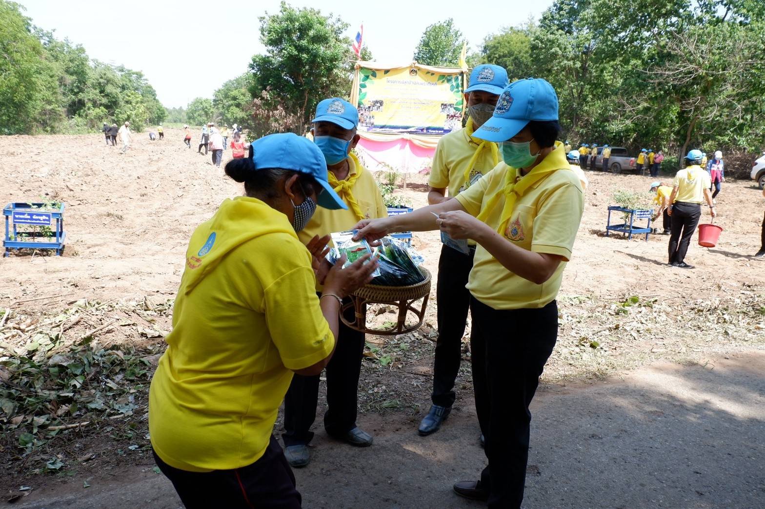 การดำเนินโครงการปลูกป่าเฉลิมพระเกียรติเนื่องในโอกาสมหามงคลพระราชพิธีบรมราชาภิเษก ครบรอบ 1 ปี เพื่อถวายเป็นพระราชกุศลพระบาทสมเด็จพระปรเมนทรรามาธิบดีศรีสินทรมหาวชิราลงกรณ พระวชิรเกล้าเจ้าอยู่หัว ปลูกไม้เพื่อแผ่นดิน สืบสานสู่ 100 ล้านต้น