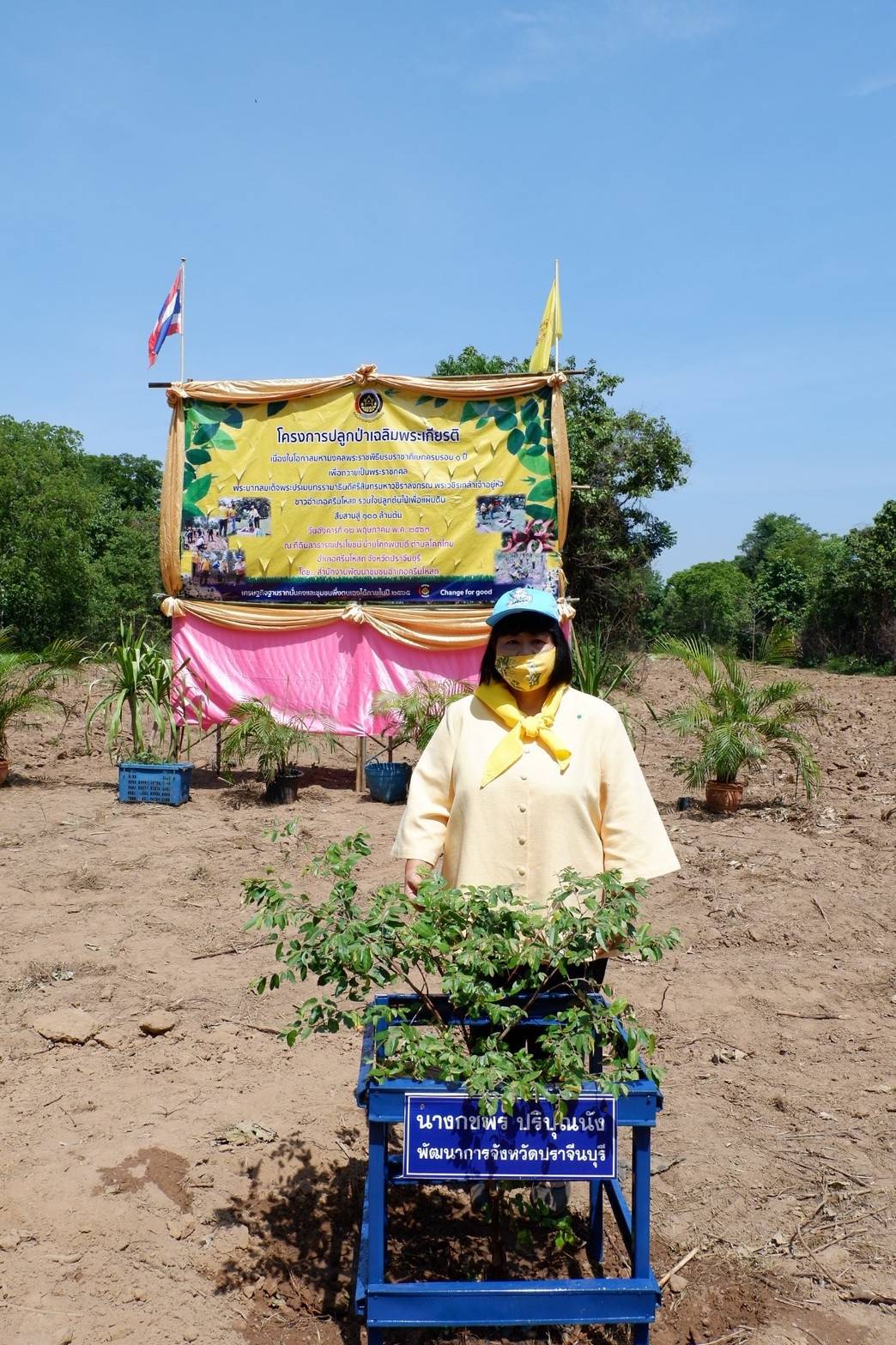 การดำเนินโครงการปลูกป่าเฉลิมพระเกียรติเนื่องในโอกาสมหามงคลพระราชพิธีบรมราชาภิเษก ครบรอบ 1 ปี เพื่อถวายเป็นพระราชกุศลพระบาทสมเด็จพระปรเมนทรรามาธิบดีศรีสินทรมหาวชิราลงกรณ พระวชิรเกล้าเจ้าอยู่หัว ปลูกไม้เพื่อแผ่นดิน สืบสานสู่ 100 ล้านต้น