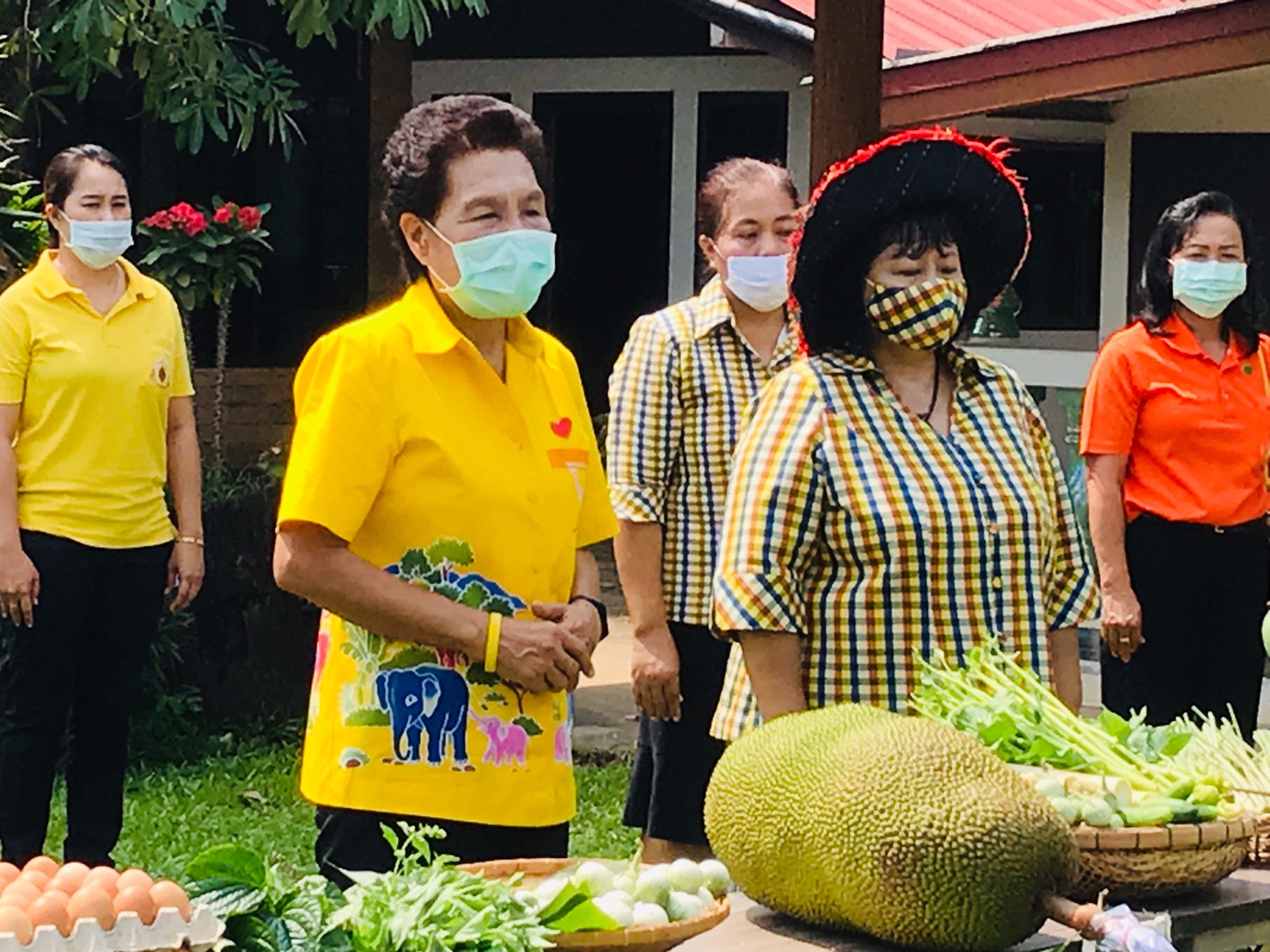 เยี่ยมชมแปลงปลูกพืชผักสวนครัวเพื่อสร้างความมั่นคงทางอาหาร ร่วมต้านภัยไวรัสโคโรน่า(COVID-19) ขององค์การบริหารส่วนจังหวัดปราจีนบุรี