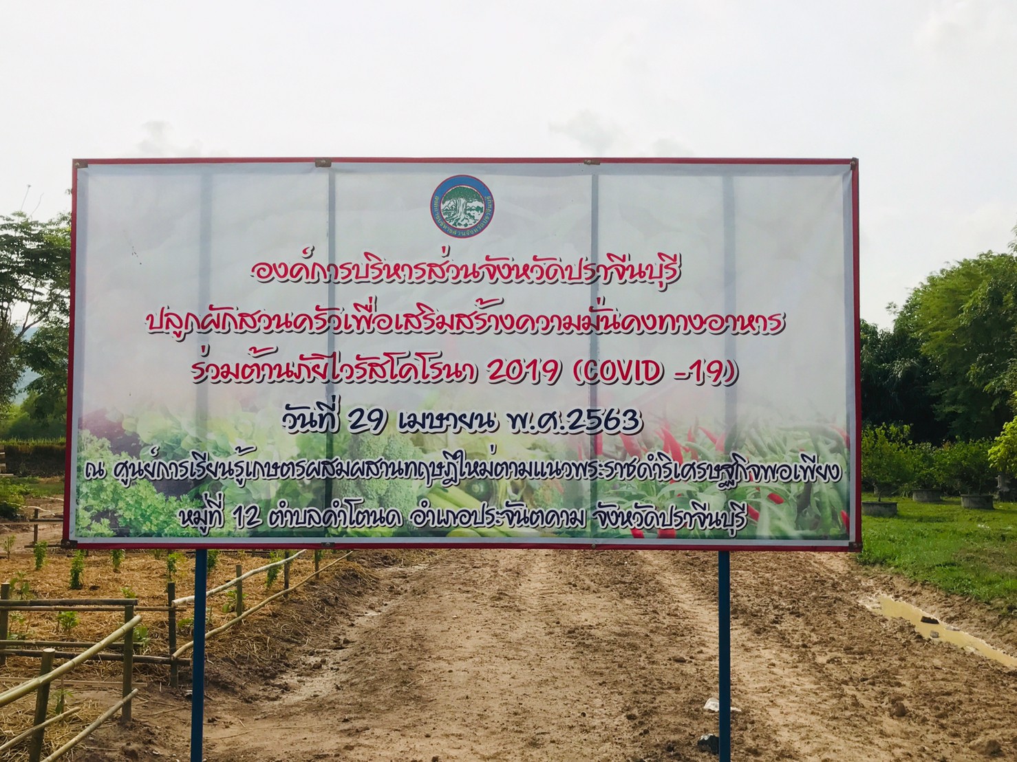 เยี่ยมชมแปลงปลูกพืชผักสวนครัวเพื่อสร้างความมั่นคงทางอาหาร ร่วมต้านภัยไวรัสโคโรน่า(COVID-19) ขององค์การบริหารส่วนจังหวัดปราจีนบุรี
