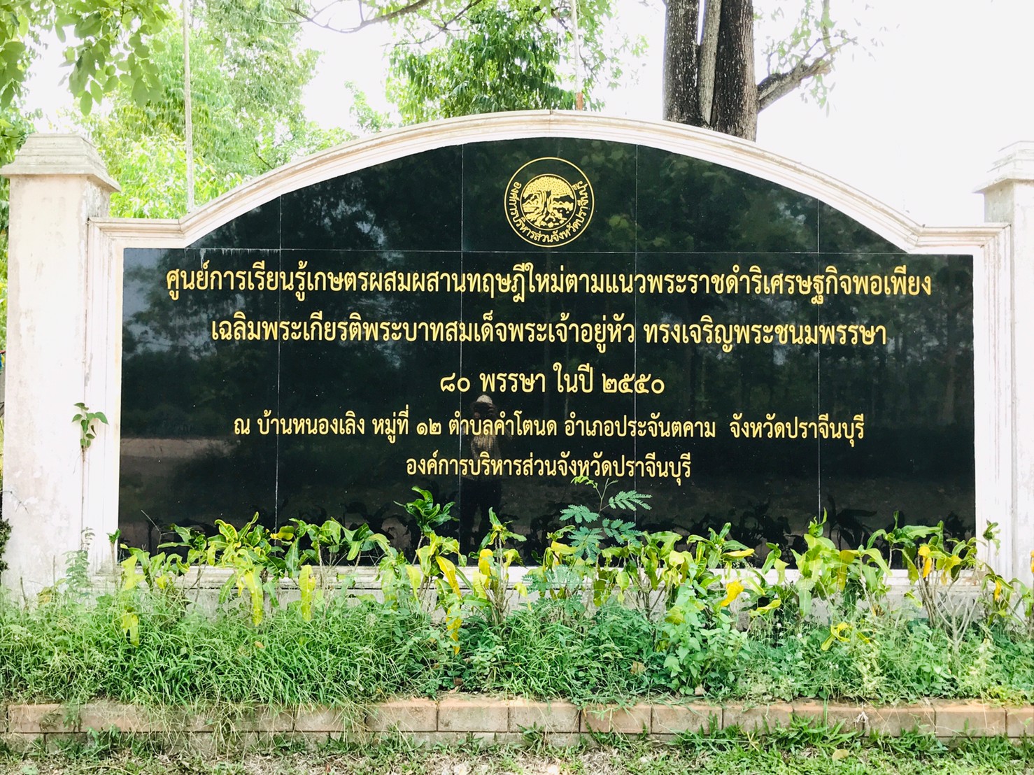 เยี่ยมชมแปลงปลูกพืชผักสวนครัวเพื่อสร้างความมั่นคงทางอาหาร ร่วมต้านภัยไวรัสโคโรน่า(COVID-19) ขององค์การบริหารส่วนจังหวัดปราจีนบุรี