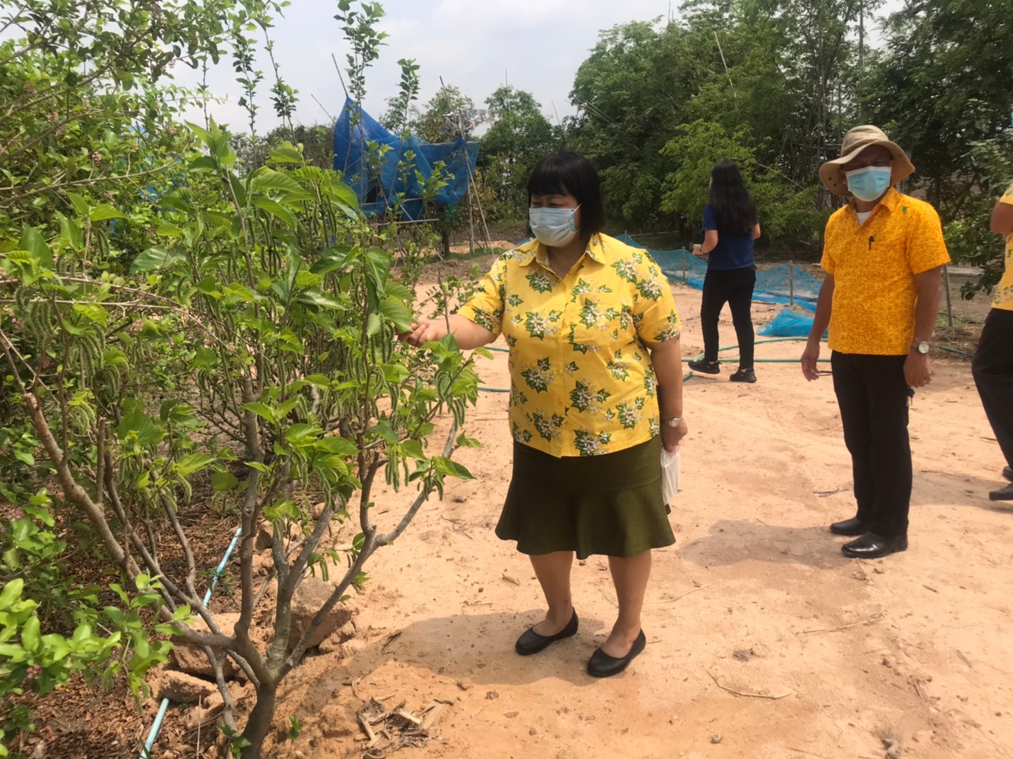 ติดตามการดำเนินงานโครงการพัฒนากสิกรรมสู่ระบบเศรษฐกิจพอเพียง : กิจกรรมเอามื้อสามัคคี โคก หนอง นา โมเดล หิ้วปิ่นโตไปเอามื้อสามัคคี ถือจอบเสียมไปพลิกฟื้นแผ่นดิน