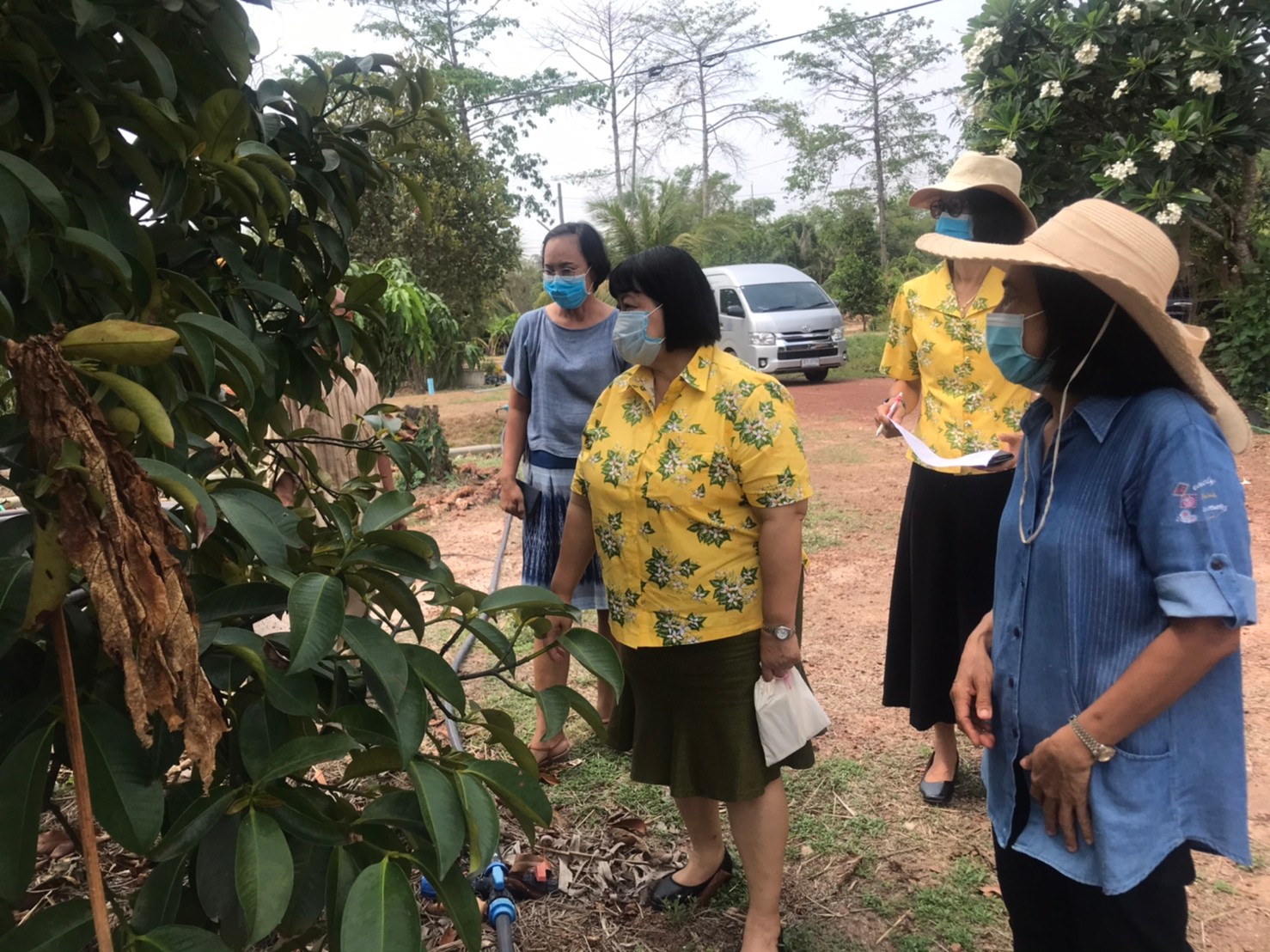 ติดตามการดำเนินงานโครงการพัฒนากสิกรรมสู่ระบบเศรษฐกิจพอเพียง : กิจกรรมเอามื้อสามัคคี โคก หนอง นา โมเดล หิ้วปิ่นโตไปเอามื้อสามัคคี ถือจอบเสียมไปพลิกฟื้นแผ่นดิน