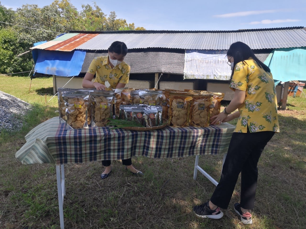 พช.ปราจีนบุรี เยี่ยมชมกองทุนกองทุนพัฒนาบทบาทสตรี “กลุ่มผู้ผลิตแมงสดิ้งไร้กลิ่น บ้านบุสูง”