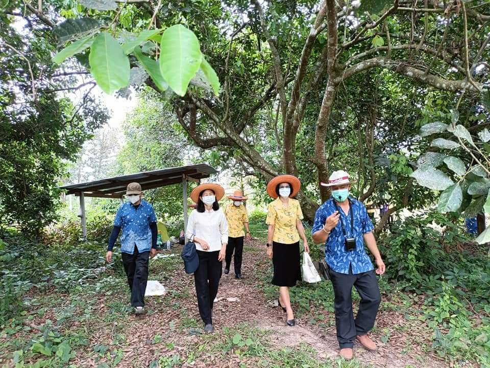 พช.ปราจีนบุรี นำผู้ตรวจราชการกรมการพัฒนาชุมชน เขตตรวจราชการที่ 9 กลุ่มจังหวัดภาคตะวันออก 2 ลงพื้นที่ตรวจติดตามประเด็นตรวจราชการ การขจัดความยากจนและพัฒนาคนทุกช่วงวัยอย่างยังยืนตามหลักปรัชญาเศรษฐกิจพอเพียง (มิติด้านความเป็นอยู่) ณ ตำบลนนทรี อำเภอกบินทร์บุรี จังหวัดปราจีนบุรี