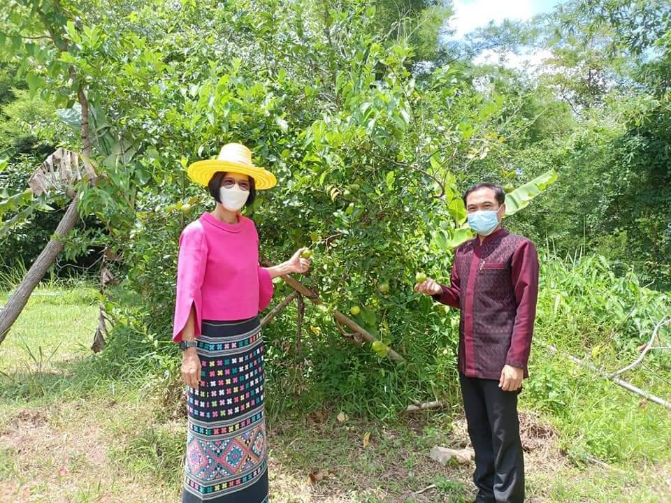 พช.ปราจีนบุรี คัดเลือกคนกองทุนพัฒนาบทบาทสตรีดีเด่นระดับจังหวัดและครัวเรือนสัมมาชีพตัวอย่าง ประจำปี 2565 อำเภอนาดี จังหวัดปราจีนบุรี