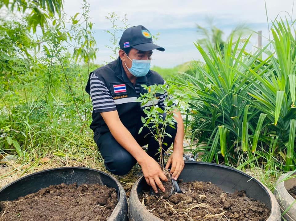 พช.ปราจีนบุรี คิดจะแก้จน ต้องแก้ให้ได้อย่างยั่งยืน #นายอำเภอบ้านสร้าง ผสานพลัง อบต.บางพลวง และภาคเอกชน ร่วมกันสร้างความมั่นคงทางอาหารให้ครัวเรือนผู้ยากไร้ เพื่อขจัดปัญหาความยากจนแบบองค์รวม