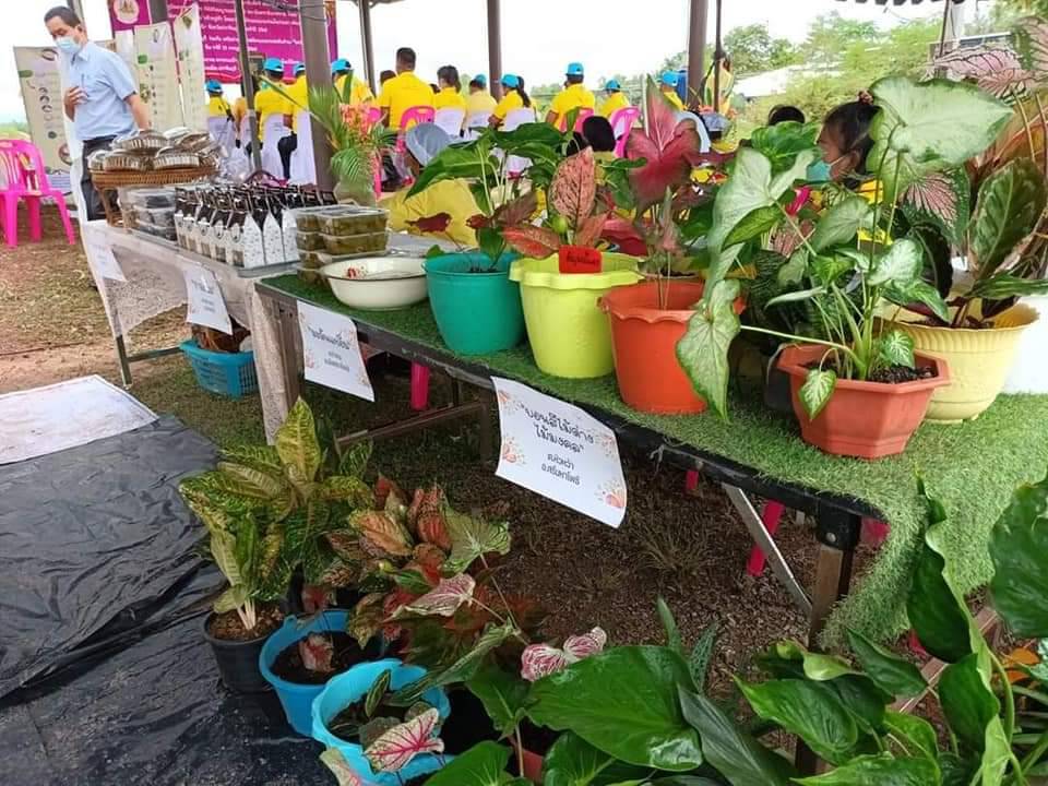 พช.ปราจีนบุรี  ร่วมพิธีเปิดกิจกรรมเฉลิมพระเกียรติสมเด็จพระปรเมนทรรามาธิบดีศรีสินทรมหาวชิราลงกรณ มหิศรภูมิพลราชวรางกุร กิติสิริสมบูรณอดุยเดช สยามมินทราธิเบรศราชวโรดมบรมนาถบพิตร พระวชิรเกล้าเจ้าอยู่หัว โดยอาสาสมัครแรงงานร่วมใจประสานพัฒนาบ้านเกิด จังหวัดปราจีนบุรี ประจำปี 2565