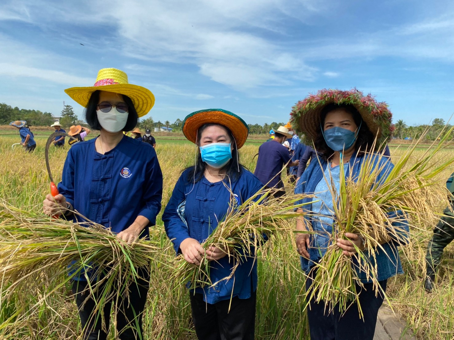 ✨✨”พช.ปราจีนบุรี ร่วมเป็นเกียรติในงานวันถ่ายทอดปรัชญาพอเพียง เกษตรทฤษฎีใหม่และองค์ความรู้เรื่องข้าวสู่เกษตรกร “ตามรอยศาสตร์พระราชา น้อมรำลึกในพระมหากรุณาธิคุณ””