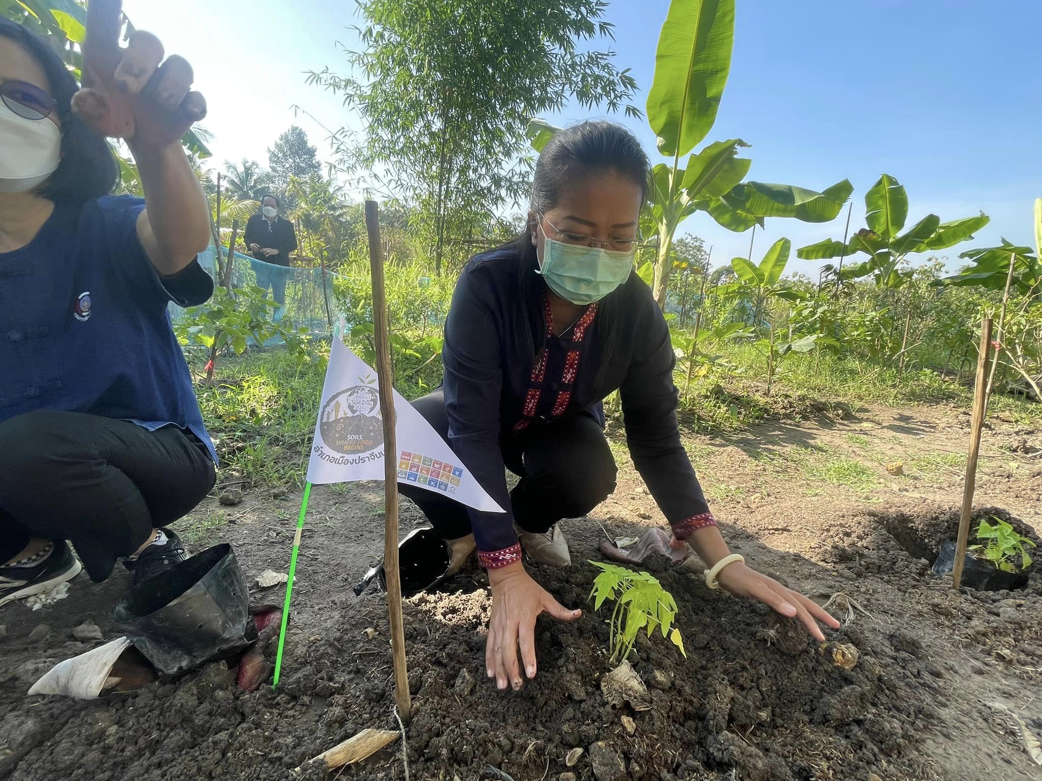 ✨✨”พช.ปราจีนบุรี ขับเคลื่อนกิจกรรม “วันดินโลก” (World Soil Day) ปี 2565 เนื่องในวันคล้ายวันพระบรมราชสมภพของพระบาทสมเด็จพระบรมชนกาธิเบศร มหาภูมิพลอดุลยเดชมหาราช บรมนาถบพิตร”
