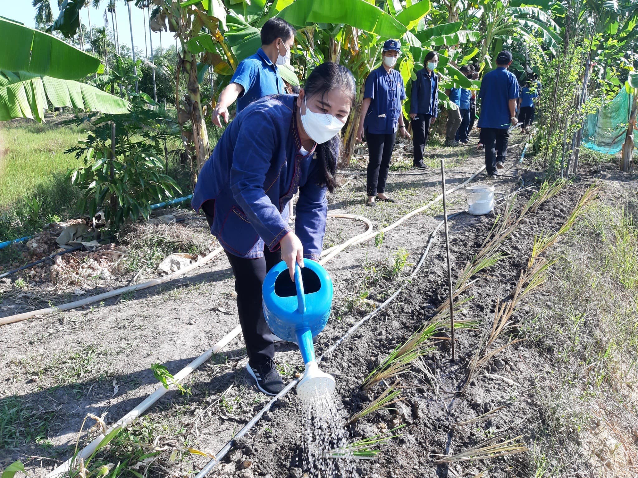 ✨✨”พช.ปราจีนบุรี ขับเคลื่อนกิจกรรม “วันดินโลก” (World Soil Day) ปี 2565 เนื่องในวันคล้ายวันพระบรมราชสมภพของพระบาทสมเด็จพระบรมชนกาธิเบศร มหาภูมิพลอดุลยเดชมหาราช บรมนาถบพิตร”