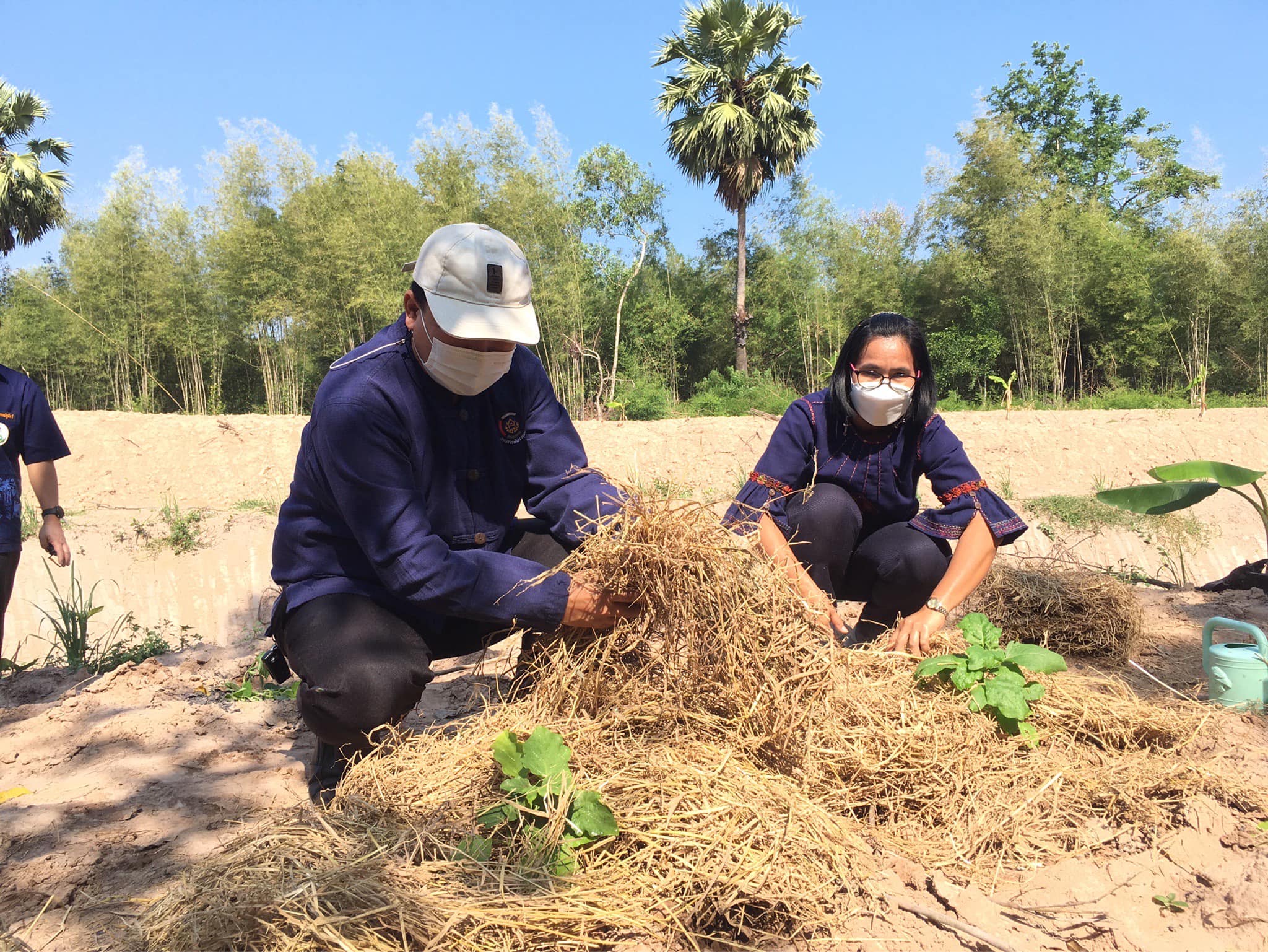 ✨✨”พช.ปราจีนบุรี ขับเคลื่อนกิจกรรม “วันดินโลก” (World Soil Day) ปี 2565 อำเภอกบินทร์บุรี”