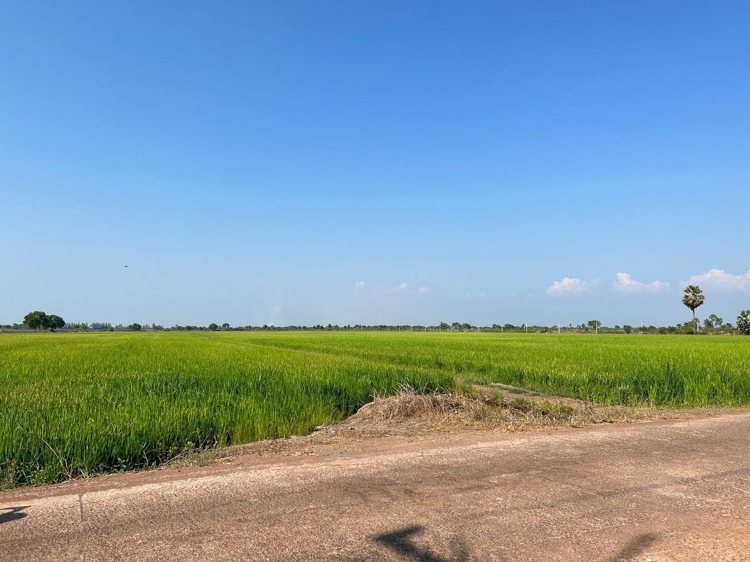 ✨✨”พช.ปราจีนบุรี ติดตามการดำเนินงานโครงการที่สมาชิกได้รับการสนับสนุนเงินจากกองทุนพัฒนาบทบาทสตรีจังหวัดปราจีนบุรี ประเภทเงินทุนหมุนเวียน ในปีงบประมาณ พ.ศ 2566″