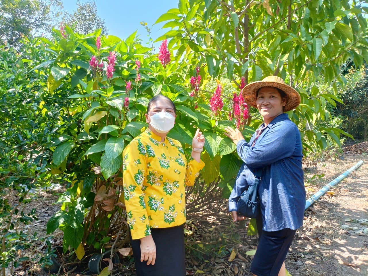✨✨”พช.ปราจีนบุรี ติดตามการดำเนินงานโครงการที่สมาชิกได้รับการสนับสนุนเงินจากกองทุนพัฒนาบทบาทสตรีจังหวัดปราจีนบุรี ประเภทเงินทุนหมุนเวียน ในปีงบประมาณ พ.ศ 2566″