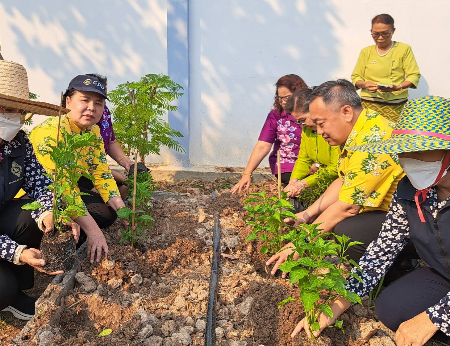 พช.ปราจีนบุรี ดำเนินกิจกรรมผู้นำต้องทำก่อน เปิดจวนผู้ว่าฯน้อมนำแนวพระราชดำริฯ ขยายผลสร้างความมั่นคงทางอาหาร “บ้านนี้มีรัก ปลูกผักกินเอง”