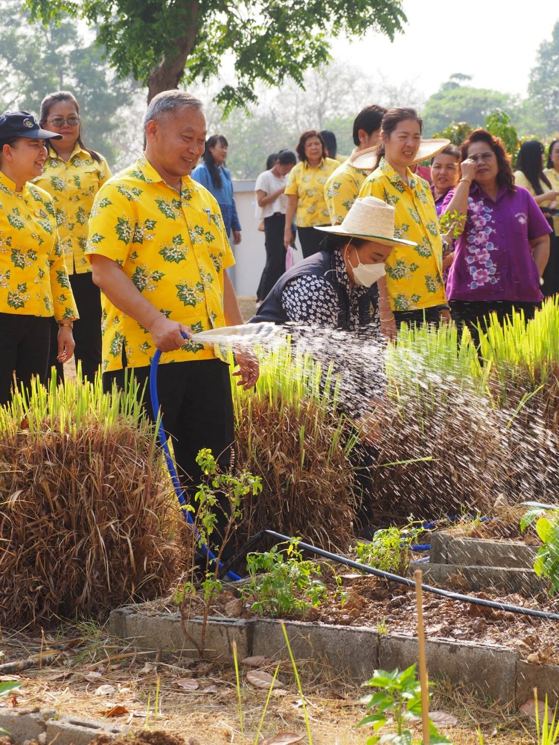 พช.ปราจีนบุรี ดำเนินกิจกรรมผู้นำต้องทำก่อน เปิดจวนผู้ว่าฯน้อมนำแนวพระราชดำริฯ ขยายผลสร้างความมั่นคงทางอาหาร “บ้านนี้มีรัก ปลูกผักกินเอง”